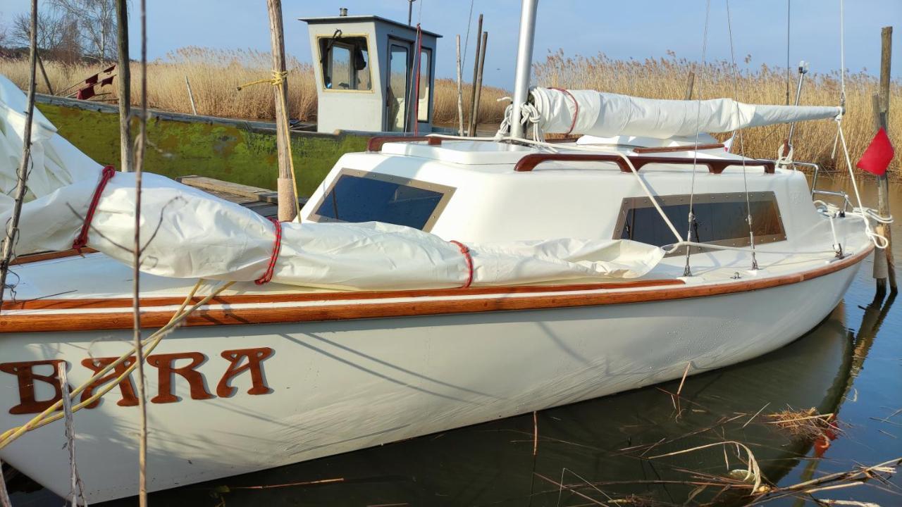 Domki Pod Zlotym Debem Kąty Rybackie Buitenkant foto
